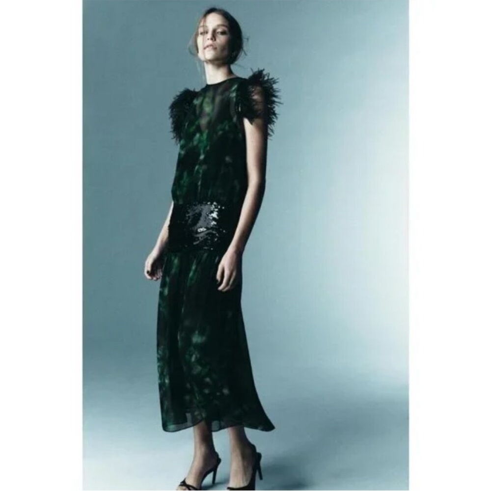 Zara Feathered sequins printed Dress